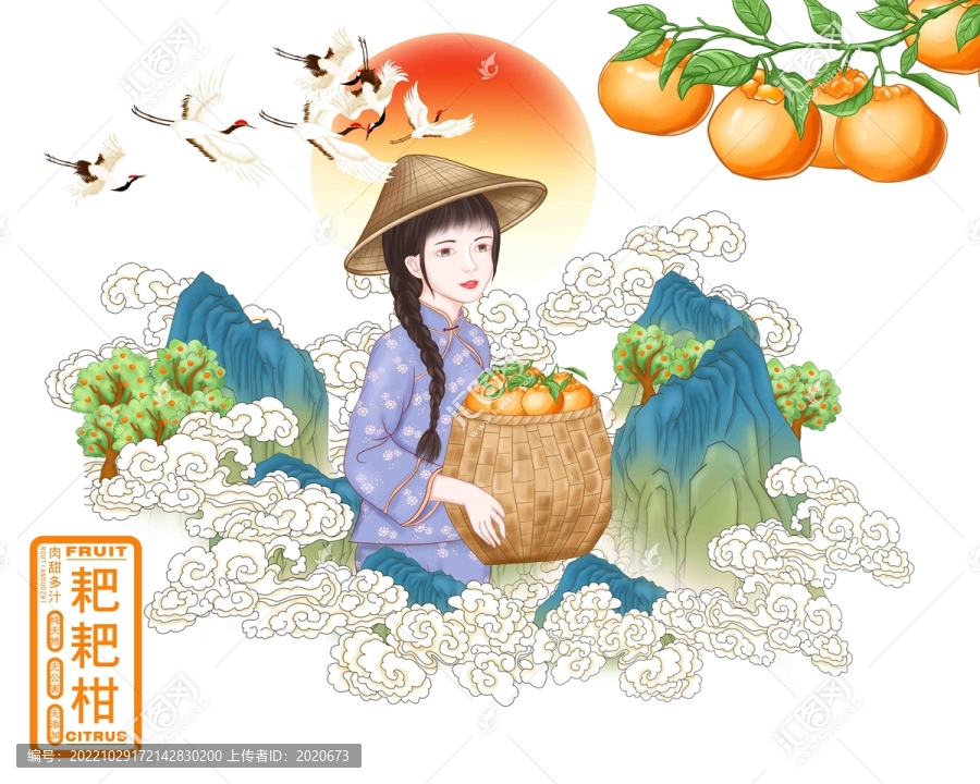 春見包裝插畫
