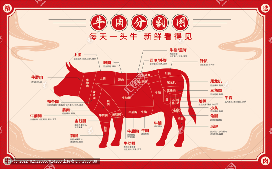 牛肉部位分割圖