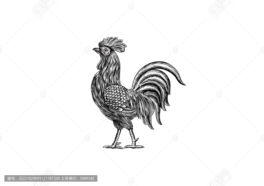 雞版畫