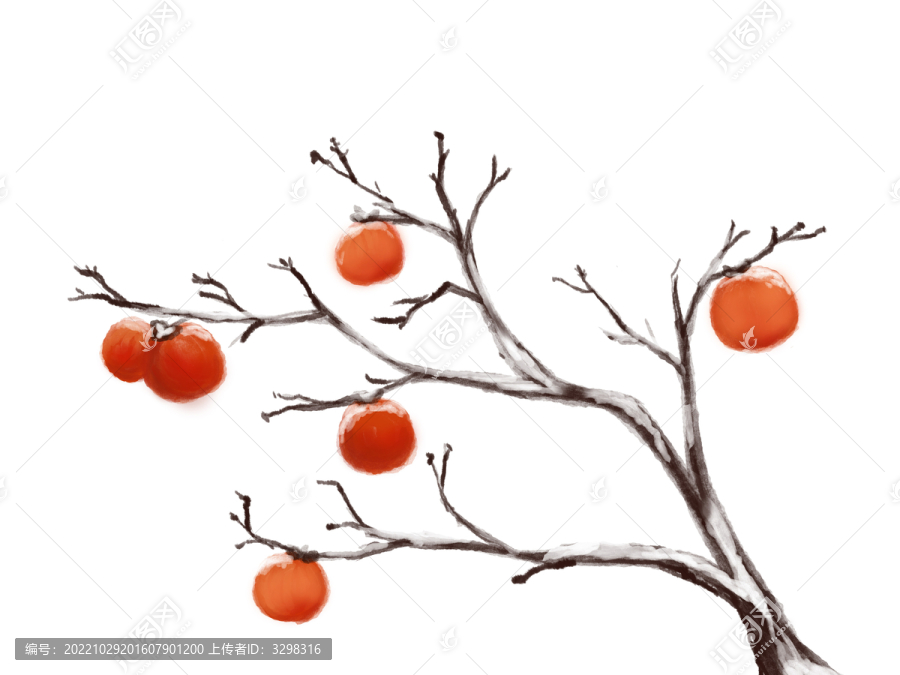 橙紅柿子冬天立冬落雪樹枝果子