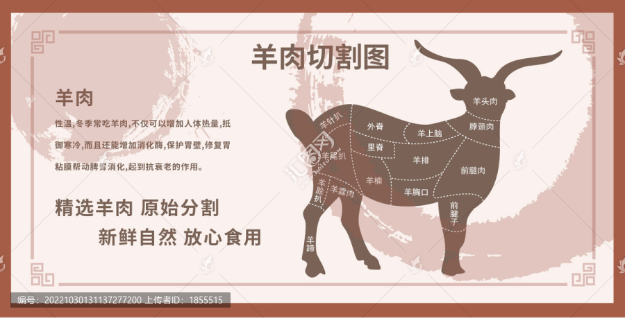 羊肉切割圖
