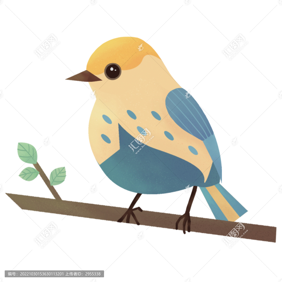 鳥