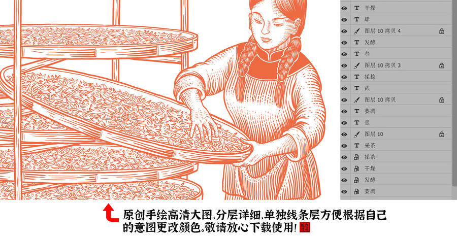 紅茶制作工藝