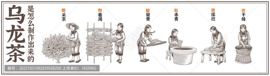烏龍茶制作工藝