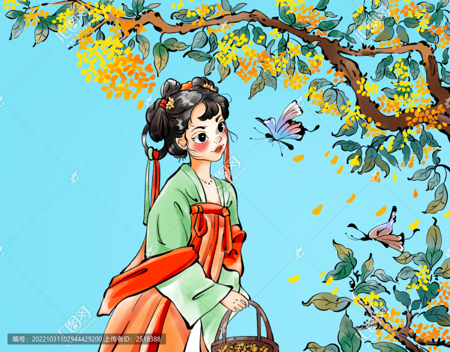 中國風(fēng)插畫桂花女子