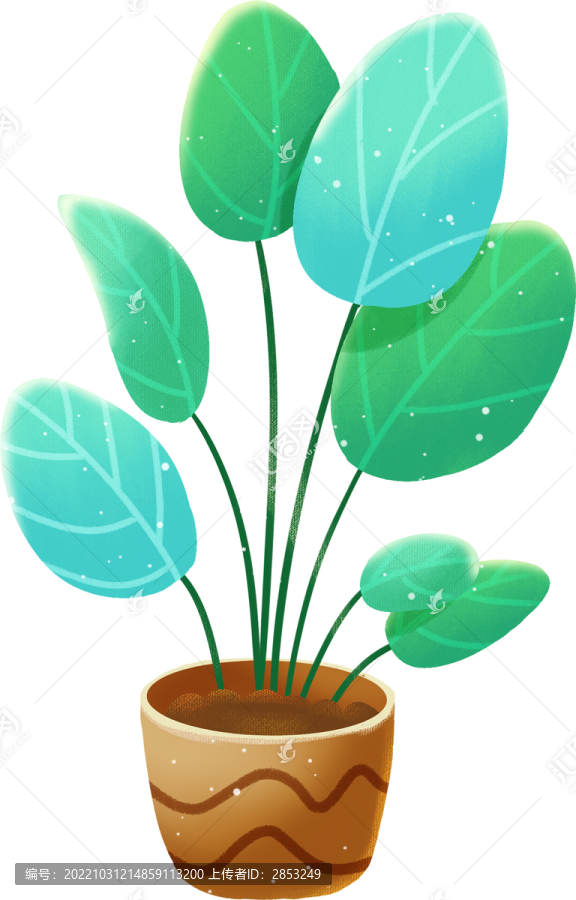 手繪卡通室內(nèi)植物盆栽插畫