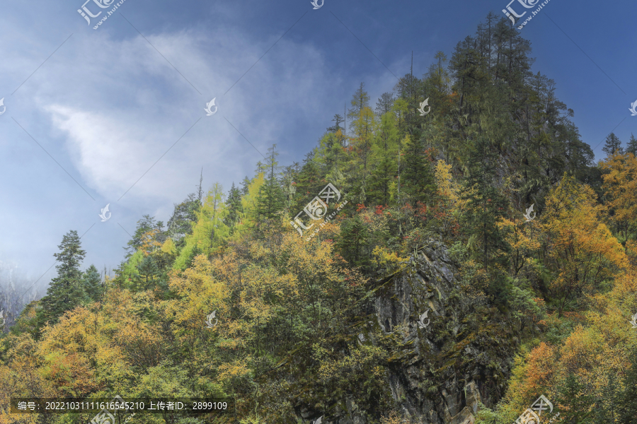 云雾缭绕高山峭壁秋色风景