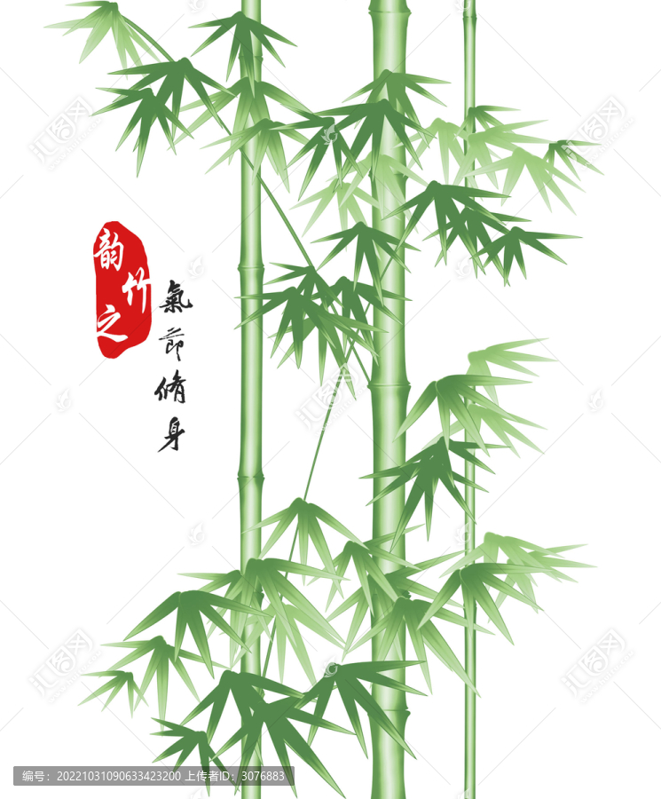 竹子手绘翠竹墨竹