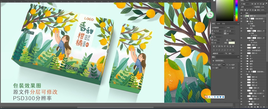 橘子插畫包裝設(shè)計
