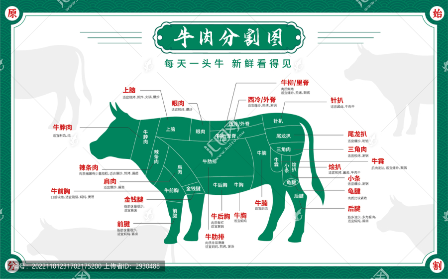 牛肉分割部位圖