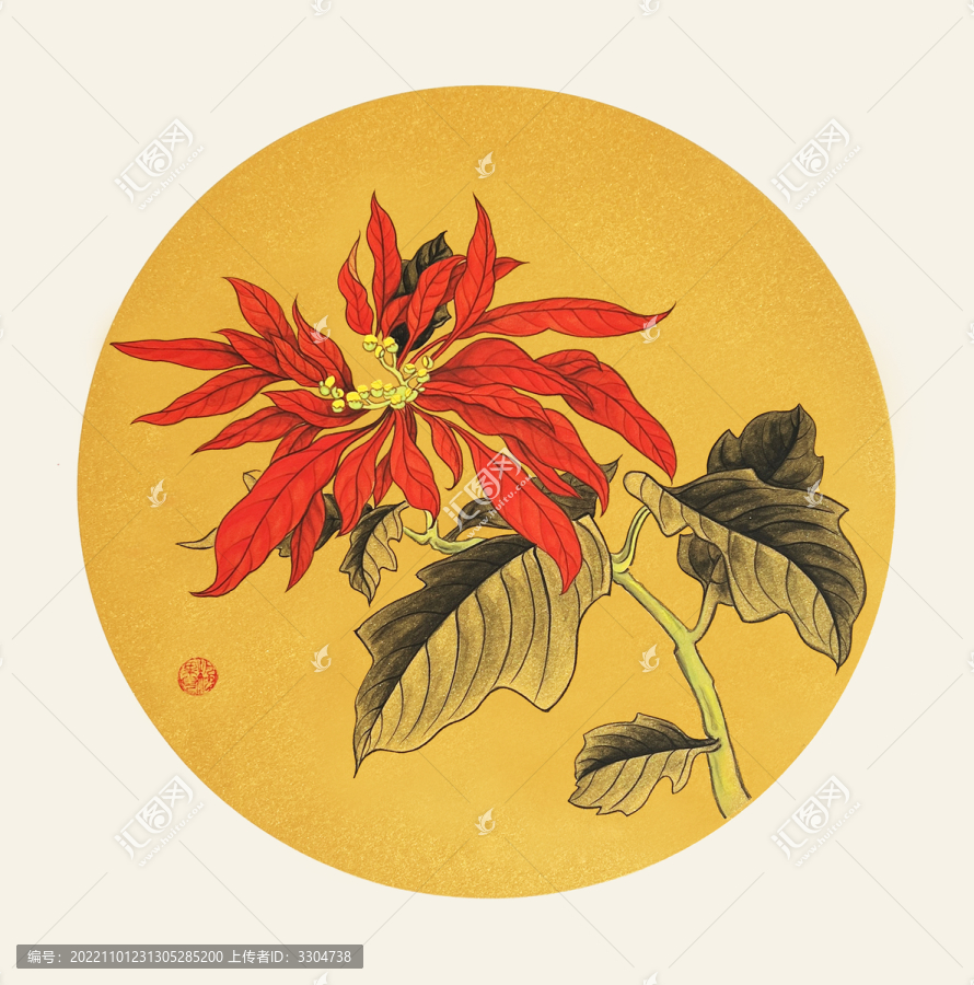 一品紅