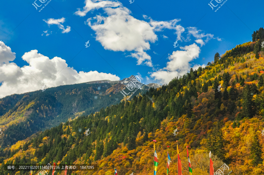 九寨沟原始森林秋景