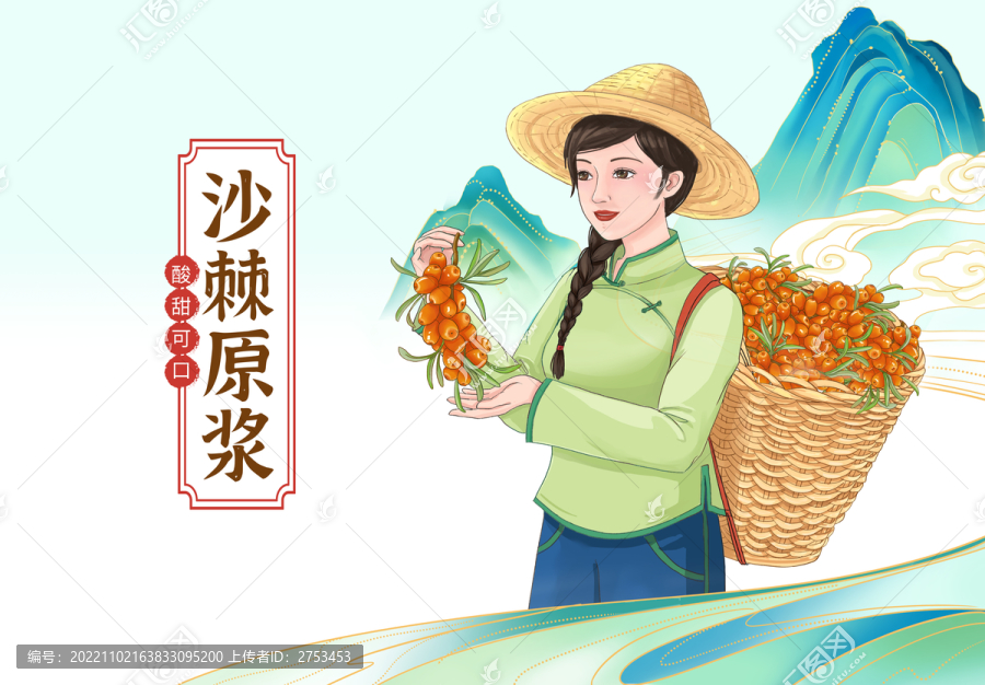 沙棘包裝插畫