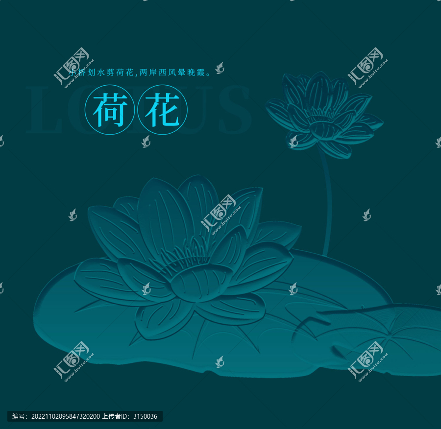 荷花
