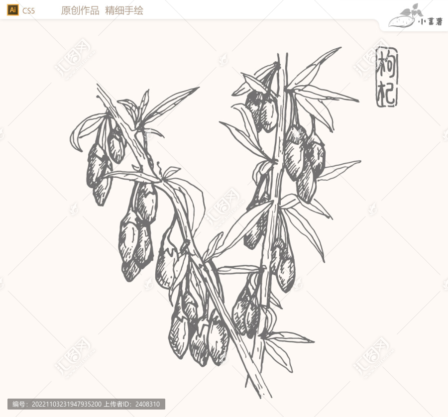 白描枸杞