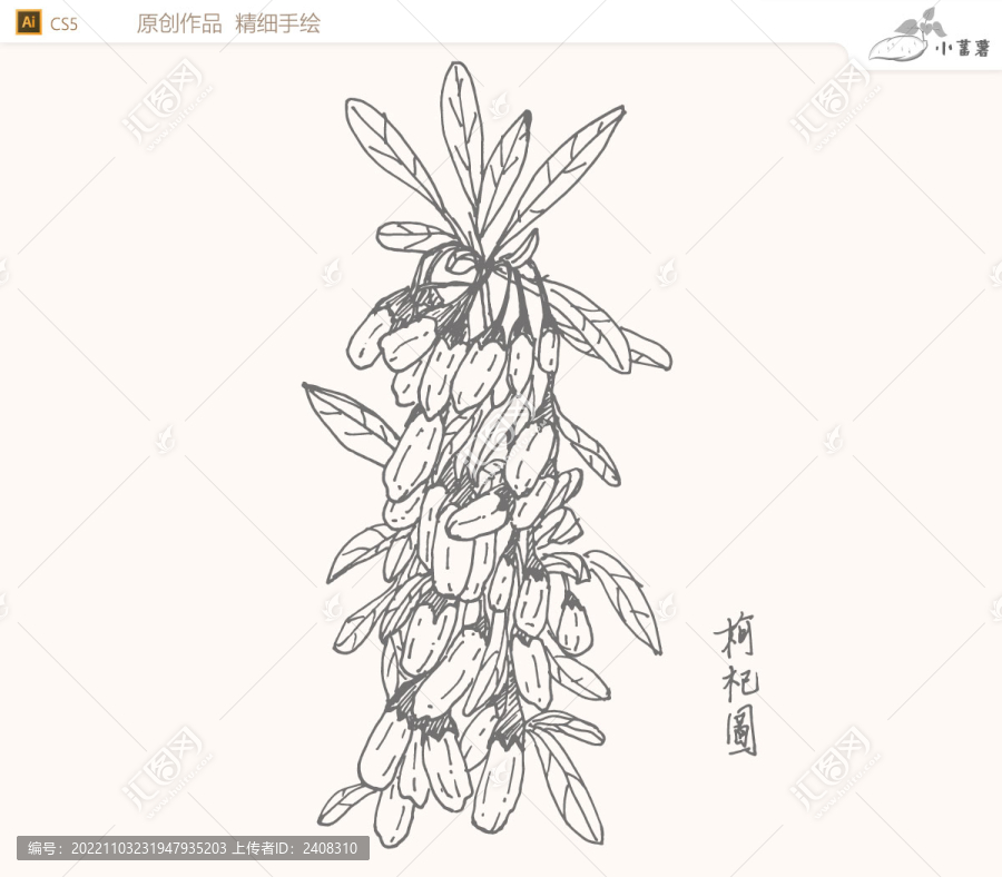 手繪枸杞素描