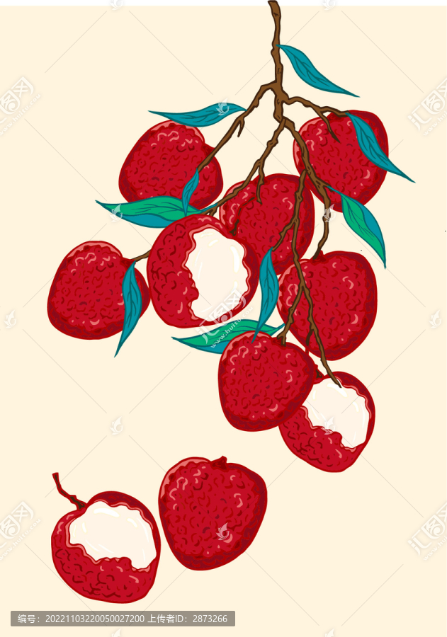 荔枝插畫