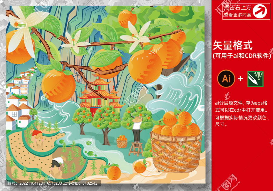 橙子插畫