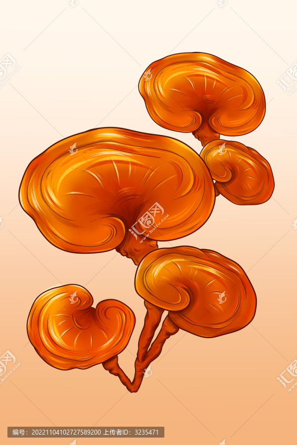 靈芝插畫