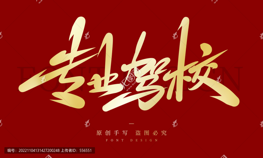 專業(yè)駕校