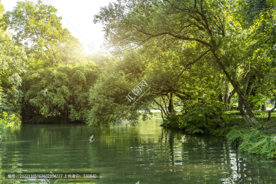 西湖美景