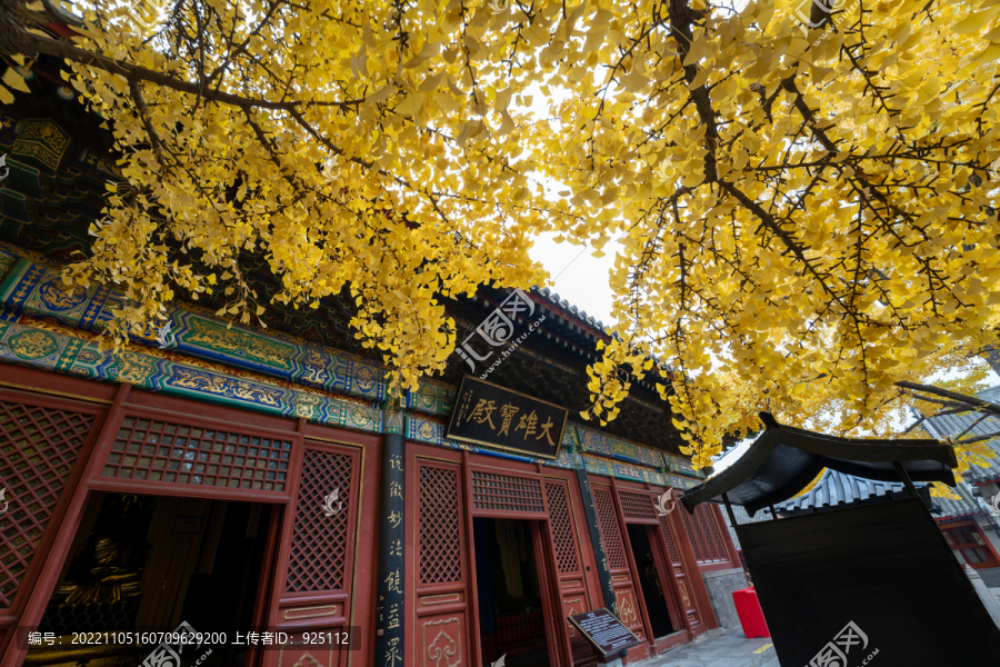 北京红螺寺秋天