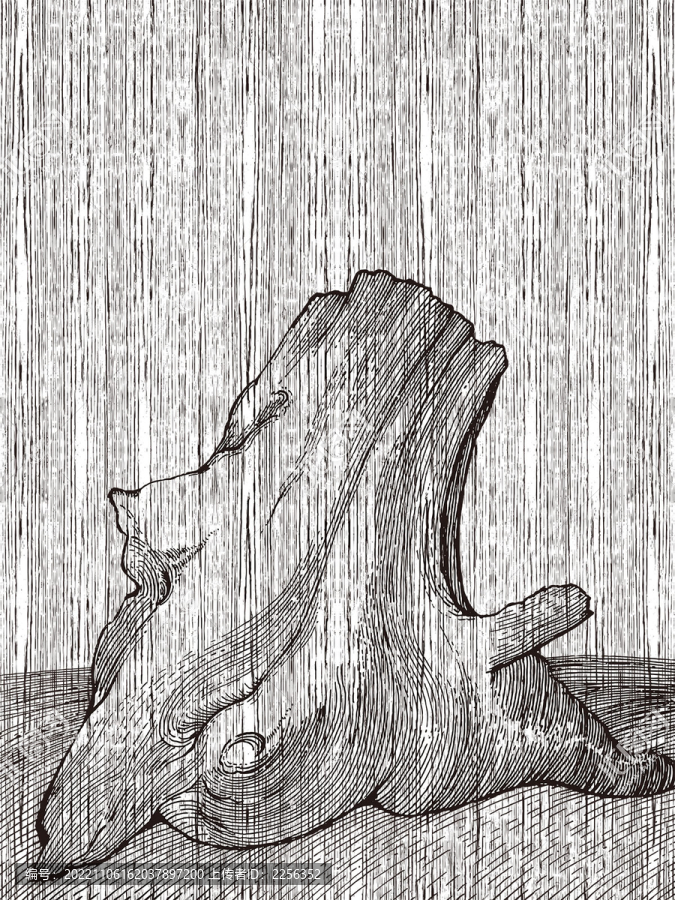 枯樹