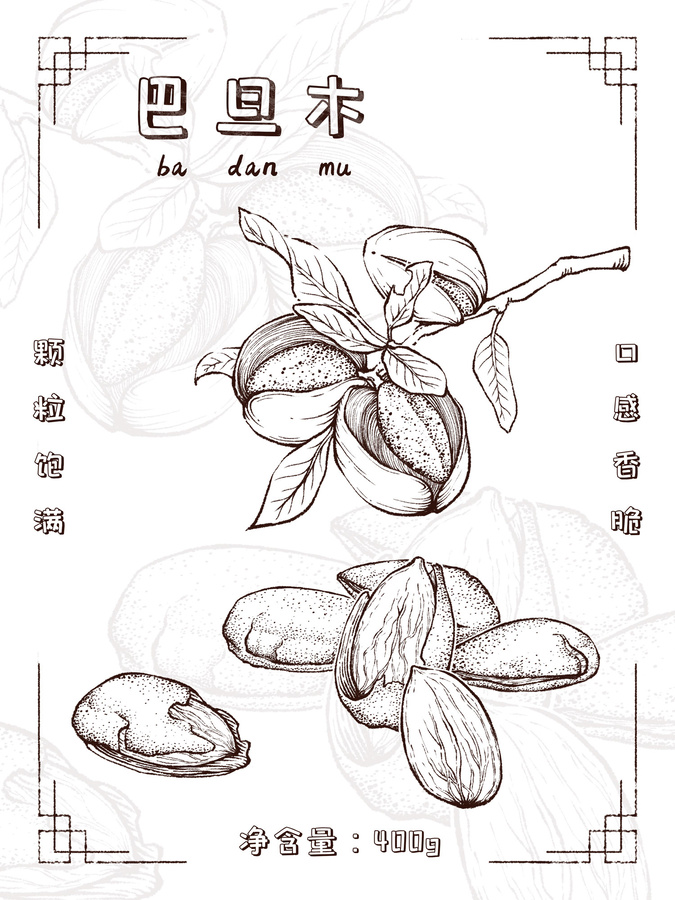 寫實巴旦木包裝插畫