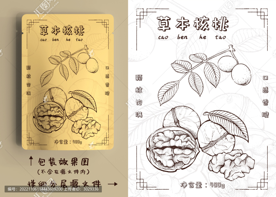 寫實(shí)核桃包裝插畫