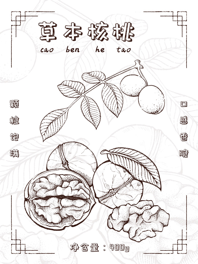 寫實(shí)核桃包裝插畫