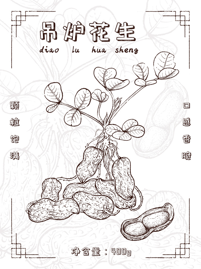 寫實(shí)手繪花生包裝插畫