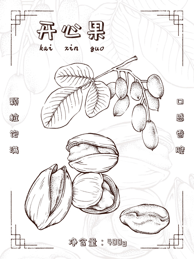 手繪開心果包裝插畫