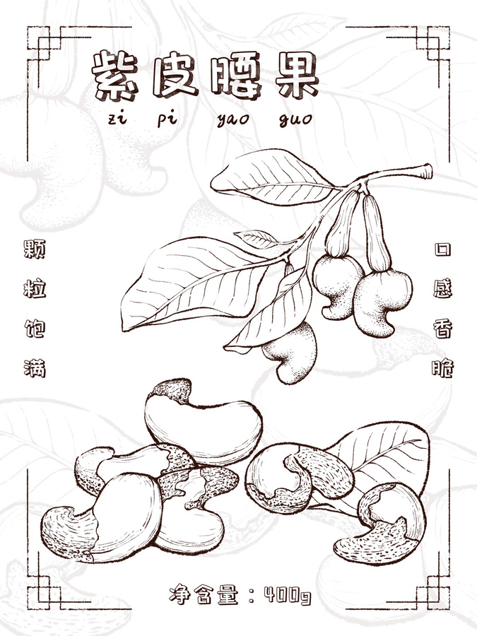 寫實(shí)腰果手繪包裝插畫