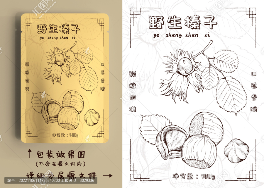 手繪榛子包裝插畫