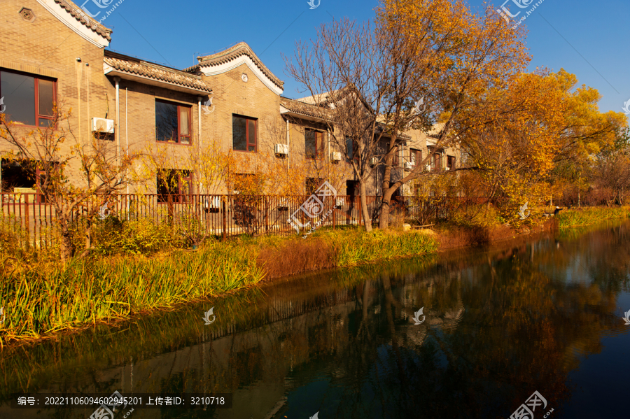 北京京密引水渠秋景