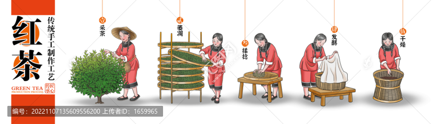 紅茶制作工藝彩色