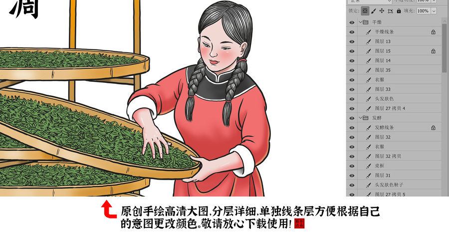 紅茶制作工藝彩色