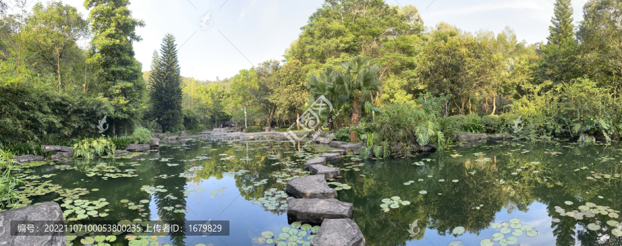 人工湖全景