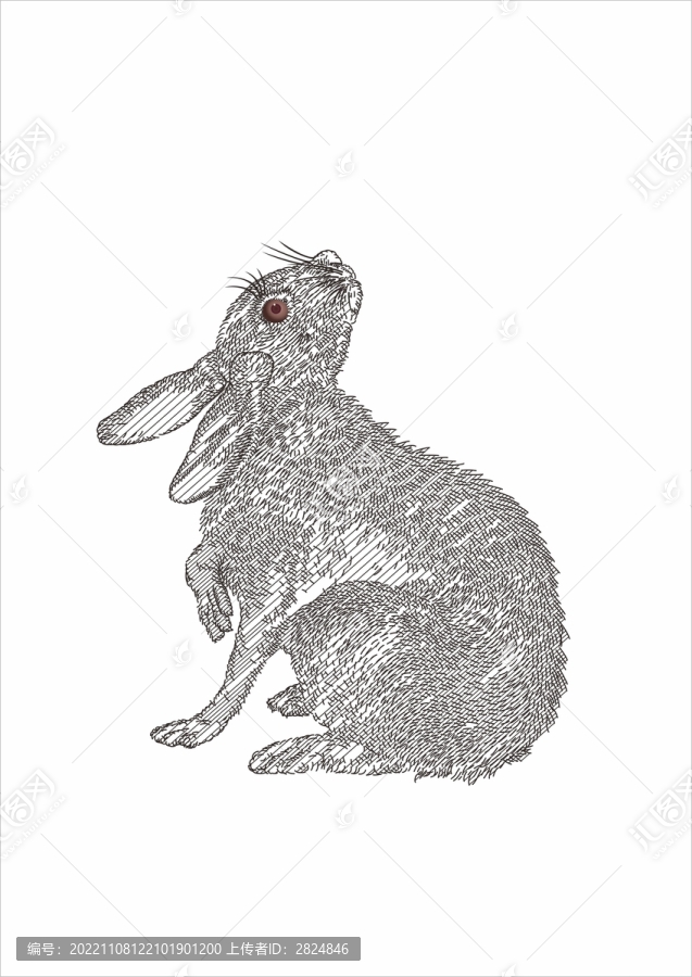 線描月兔