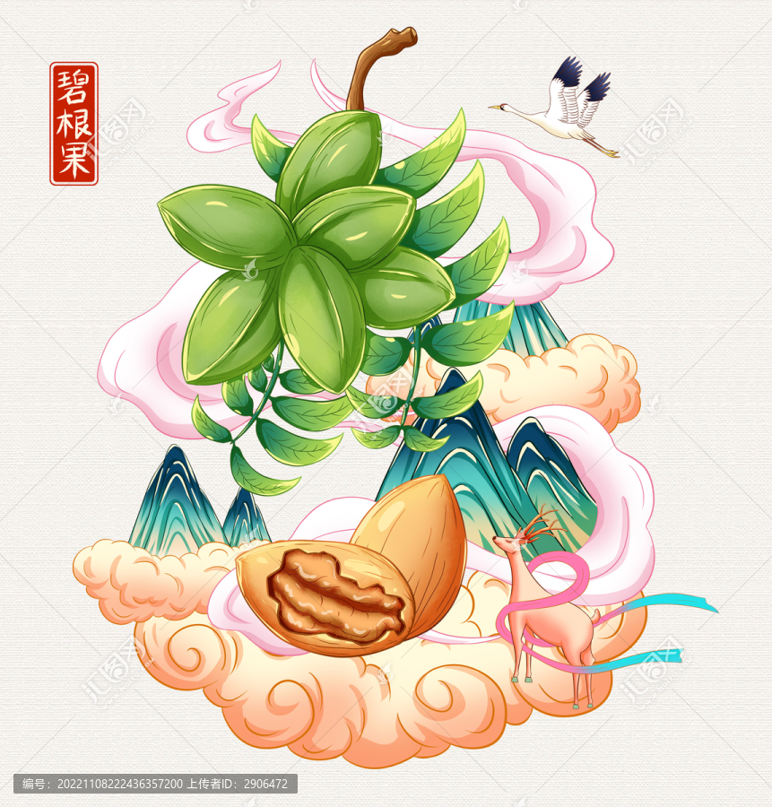 碧根果插畫手繪