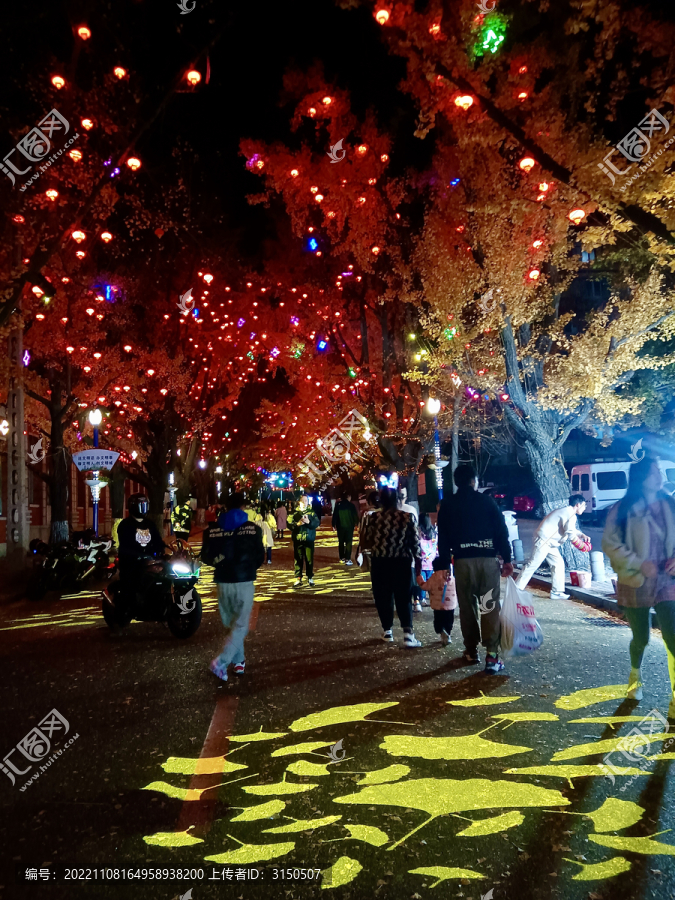 己清扫的银杏大道夜景