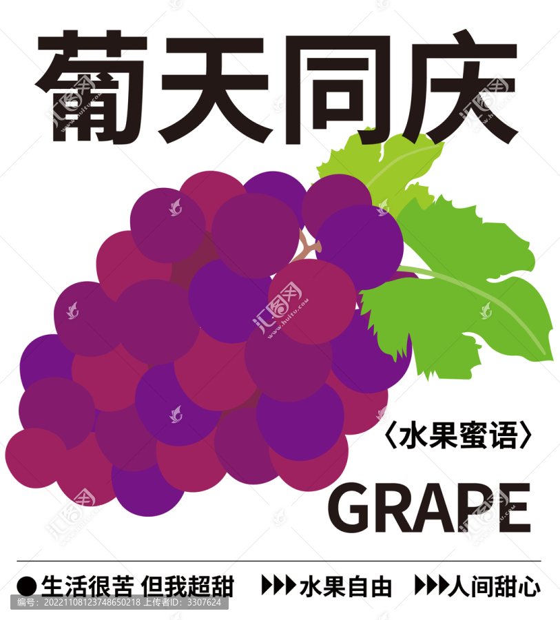 手繪水果插畫一串葡萄紫葡萄