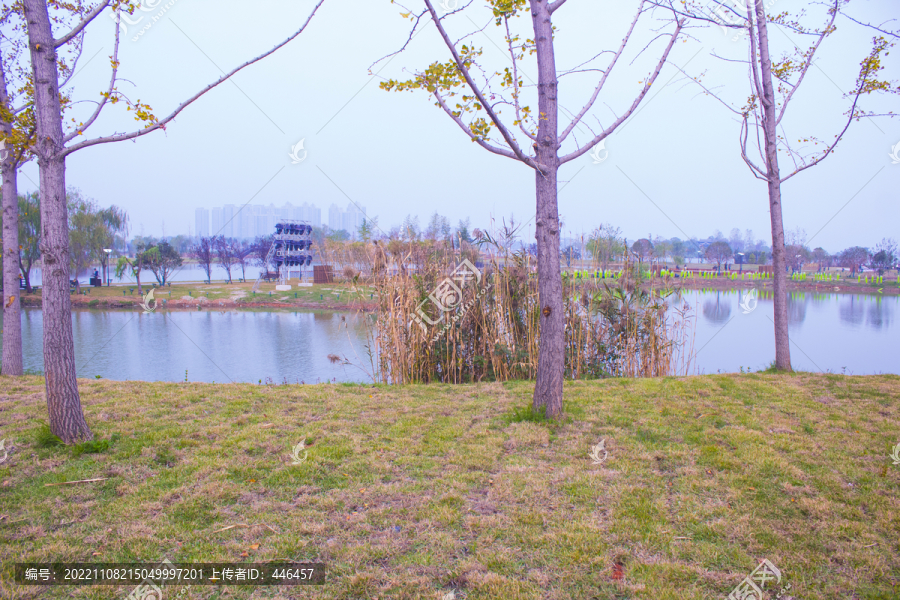 湖边风景