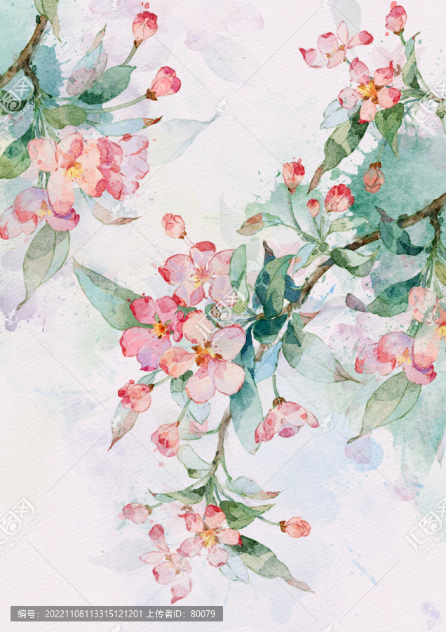 海棠花