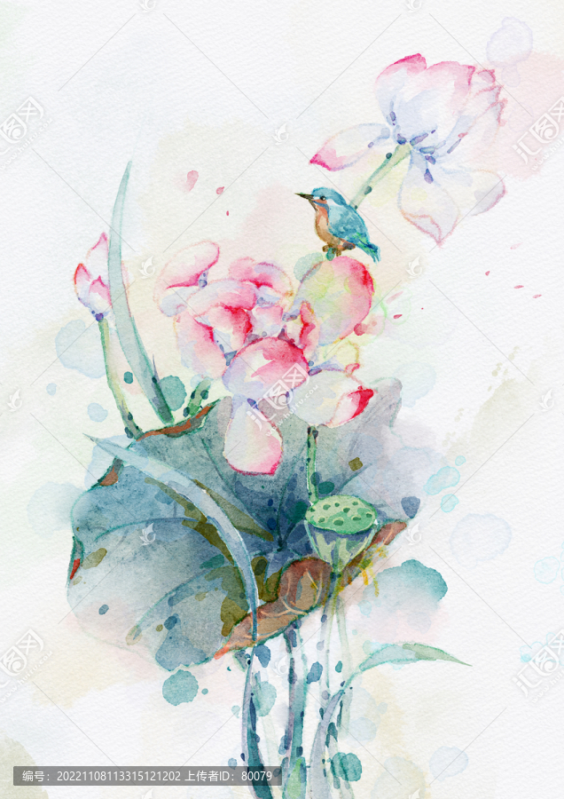 荷花