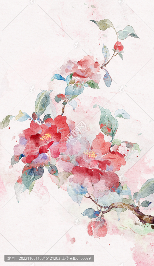 紅茶花