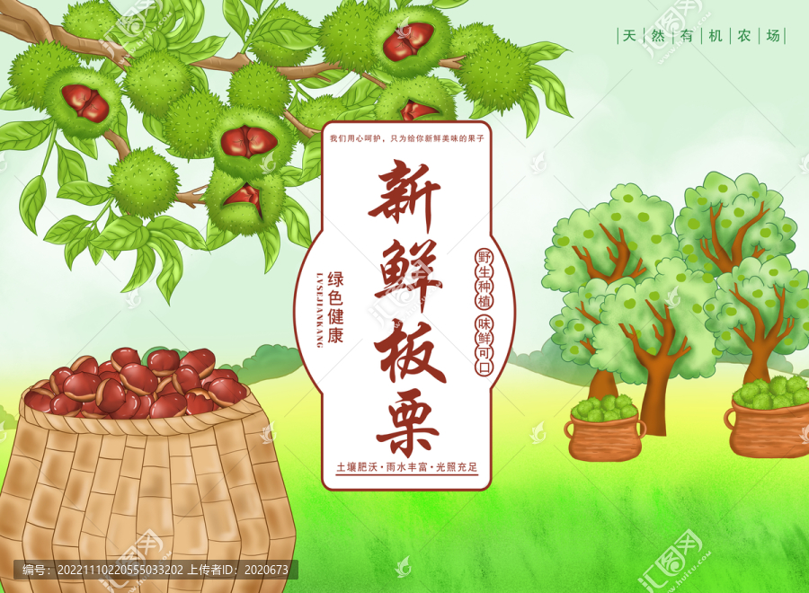 板栗包裝插畫