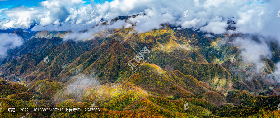 重庆城口大巴山深处秋意浓