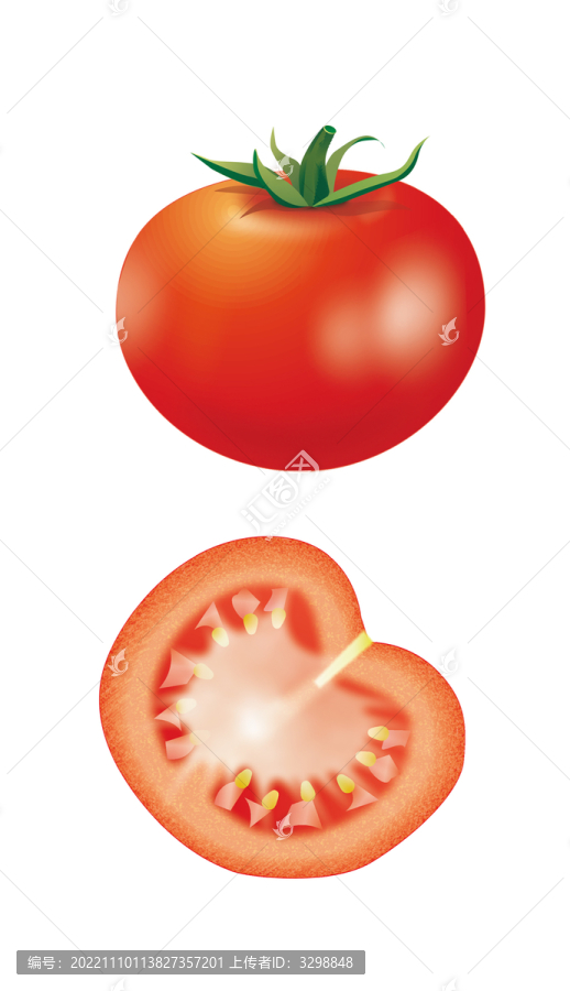 西紅柿矢量圖