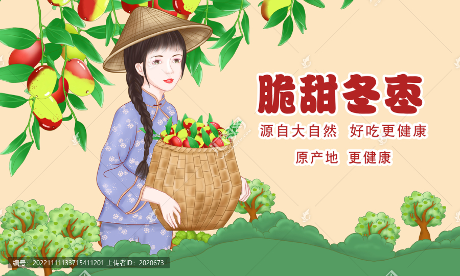 冬棗插畫